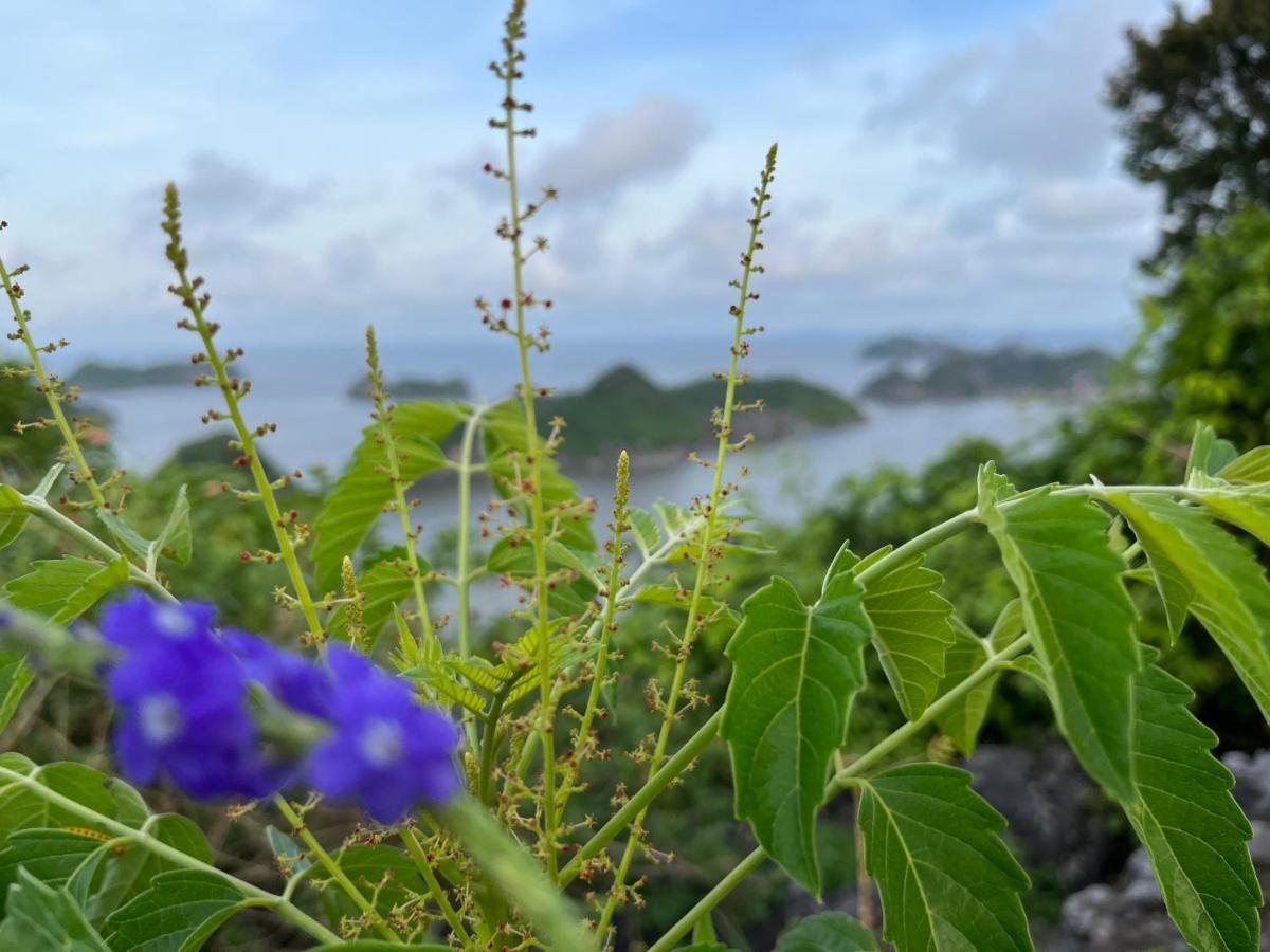 Cat Ba Rosalia Hotel Dong Khe Sau Buitenkant foto